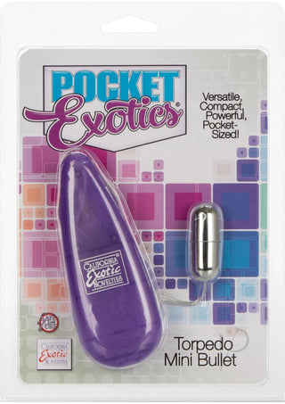 Pocket Exotics Mini Silver Torpedo - Purple/Silver