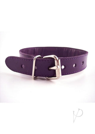 Rouge O Ring Studded Adjustable Leather Collar - Purple